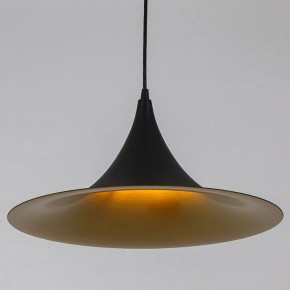 Подвесной светильник Arte Lamp Carmel A7080SP-1BK в Верхней Пышме - verhnyaya-pyshma.ok-mebel.com | фото