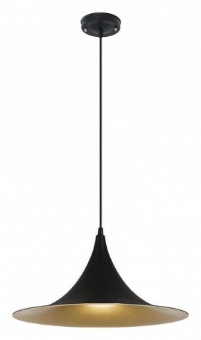 Подвесной светильник Arte Lamp Carmel A7080SP-1BK в Верхней Пышме - verhnyaya-pyshma.ok-mebel.com | фото 2