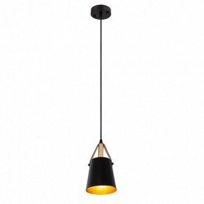 Подвесной светильник Arte Lamp Thomas A7032SP-1BK в Верхней Пышме - verhnyaya-pyshma.ok-mebel.com | фото 3