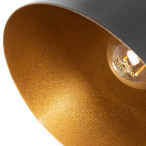 Подвесной светильник Arte Lamp Thomas A7032SP-1BK в Верхней Пышме - verhnyaya-pyshma.ok-mebel.com | фото 5