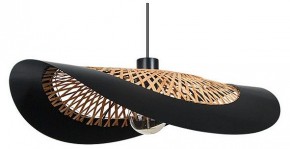 Подвесной светильник Arte Lamp Woodstock A7059SP-1BK в Верхней Пышме - verhnyaya-pyshma.ok-mebel.com | фото