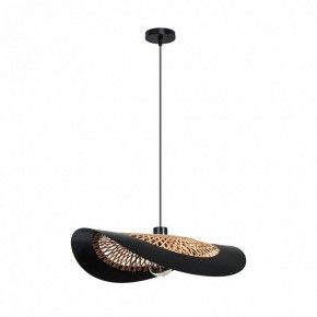 Подвесной светильник Arte Lamp Woodstock A7059SP-1BK в Верхней Пышме - verhnyaya-pyshma.ok-mebel.com | фото 2