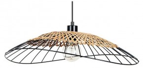 Подвесной светильник Arte Lamp Woodstock A7061SP-1BK в Верхней Пышме - verhnyaya-pyshma.ok-mebel.com | фото