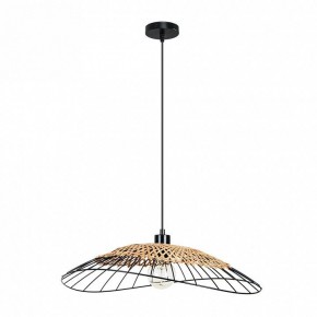 Подвесной светильник Arte Lamp Woodstock A7061SP-1BK в Верхней Пышме - verhnyaya-pyshma.ok-mebel.com | фото 2