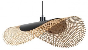 Подвесной светильник Arte Lamp Woodstock A7063SP-1BK в Верхней Пышме - verhnyaya-pyshma.ok-mebel.com | фото