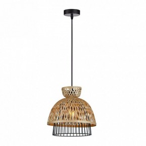 Подвесной светильник Arte Lamp Woodstock A7070SP-1BK в Верхней Пышме - verhnyaya-pyshma.ok-mebel.com | фото