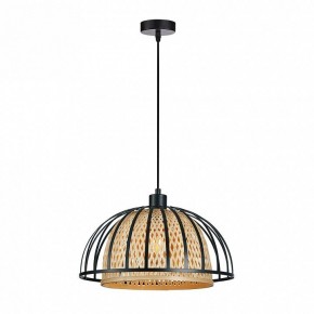 Подвесной светильник Arte Lamp Woodstock A7071SP-1BK в Верхней Пышме - verhnyaya-pyshma.ok-mebel.com | фото