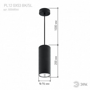 Подвесной светильник Эра  PL12 GX53 BK/SL в Верхней Пышме - verhnyaya-pyshma.ok-mebel.com | фото 8