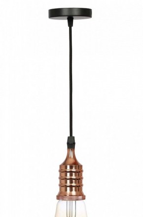 Подвесной светильник Эра PL13 Б0048525 в Верхней Пышме - verhnyaya-pyshma.ok-mebel.com | фото 3