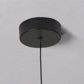 Подвесной светильник Favourite Wilet 4656-1P в Верхней Пышме - verhnyaya-pyshma.ok-mebel.com | фото 10