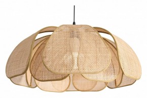 Подвесной светильник Freya Cocoon FR5529PL-01B в Верхней Пышме - verhnyaya-pyshma.ok-mebel.com | фото