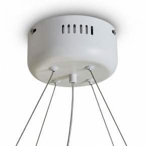 Подвесной светильник Freya Rain FR5546PL-L60W в Верхней Пышме - verhnyaya-pyshma.ok-mebel.com | фото 9