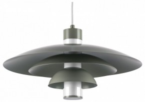 Подвесной светильник Lightstar Erbareo 799019 в Верхней Пышме - verhnyaya-pyshma.ok-mebel.com | фото