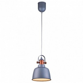 Подвесной светильник Lucia Tucci Industrial INDUSTRIAL 1820.1 SAND SILVER в Верхней Пышме - verhnyaya-pyshma.ok-mebel.com | фото 2