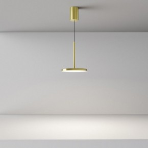 Подвесной светильник Maytoni Plato P076PL-L12W4K-BS в Верхней Пышме - verhnyaya-pyshma.ok-mebel.com | фото 4
