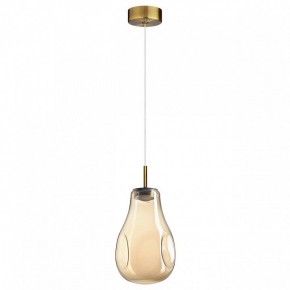 Подвесной светильник Odeon Light Nave 5098/4L в Верхней Пышме - verhnyaya-pyshma.ok-mebel.com | фото 4