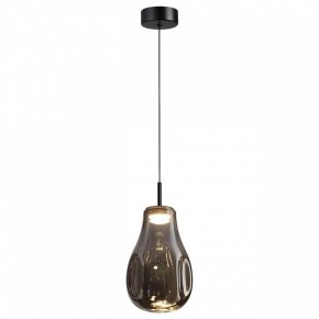 Подвесной светильник Odeon Light Nave 5098/4LC в Верхней Пышме - verhnyaya-pyshma.ok-mebel.com | фото 2