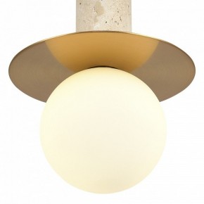 Подвесной светильник ST-Luce Earthy SL1194.303.01 в Верхней Пышме - verhnyaya-pyshma.ok-mebel.com | фото 5