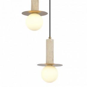 Подвесной светильник ST-Luce Earthy SL1194.303.03 в Верхней Пышме - verhnyaya-pyshma.ok-mebel.com | фото 4