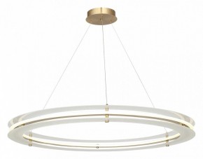 Подвесной светильник ST-Luce FAGY SL6245.213.01 в Верхней Пышме - verhnyaya-pyshma.ok-mebel.com | фото 4