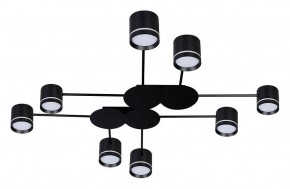 Потолочная люстра Arte Lamp Legacy A8024PL-8BK в Верхней Пышме - verhnyaya-pyshma.ok-mebel.com | фото