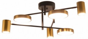 Потолочная люстра Kink Light Рапис 07645-6D,19(20) в Верхней Пышме - verhnyaya-pyshma.ok-mebel.com | фото
