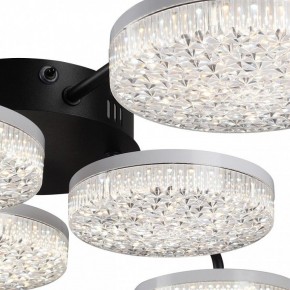 Потолочная люстра Lumion Didana 8236/6CL в Верхней Пышме - verhnyaya-pyshma.ok-mebel.com | фото 9