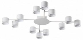 Потолочная люстра Lumion Gareta 8235/12C в Верхней Пышме - verhnyaya-pyshma.ok-mebel.com | фото