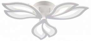 Потолочная люстра Natali Kovaltseva FORTUNA LED LAMPS 81107/2C в Верхней Пышме - verhnyaya-pyshma.ok-mebel.com | фото