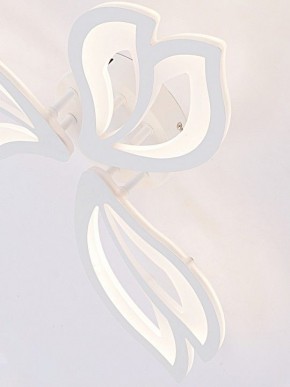 Потолочная люстра Natali Kovaltseva FORTUNA LED LAMPS 81107/2C в Верхней Пышме - verhnyaya-pyshma.ok-mebel.com | фото 11
