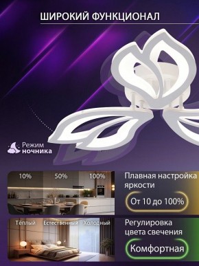 Потолочная люстра Natali Kovaltseva FORTUNA LED LAMPS 81107/2C в Верхней Пышме - verhnyaya-pyshma.ok-mebel.com | фото 5