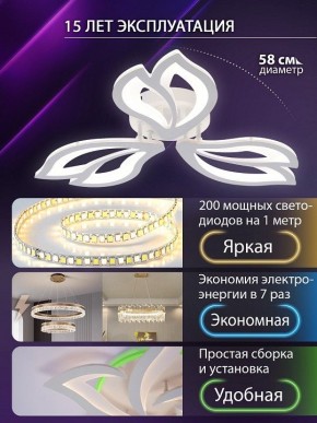 Потолочная люстра Natali Kovaltseva FORTUNA LED LAMPS 81107/2C в Верхней Пышме - verhnyaya-pyshma.ok-mebel.com | фото 6