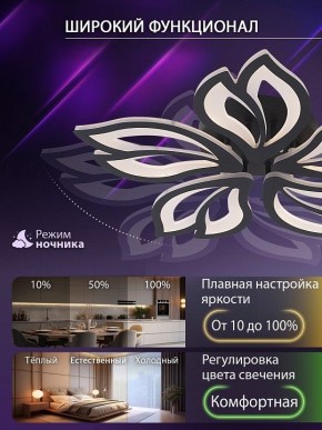 Потолочная люстра Natali Kovaltseva FORTUNA LED LAMPS 81107/5C в Верхней Пышме - verhnyaya-pyshma.ok-mebel.com | фото 6