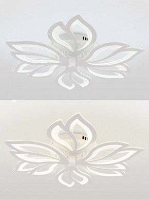 Потолочная люстра Natali Kovaltseva FORTUNA LED LAMPS 81107/6C в Верхней Пышме - verhnyaya-pyshma.ok-mebel.com | фото 4