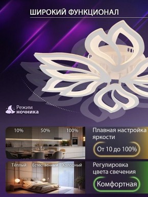 Потолочная люстра Natali Kovaltseva FORTUNA LED LAMPS 81107/6C в Верхней Пышме - verhnyaya-pyshma.ok-mebel.com | фото 6