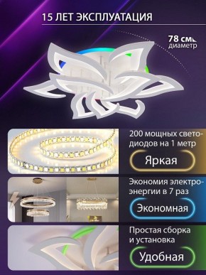 Потолочная люстра Natali Kovaltseva OLIMP LED LAMPS 81435 в Верхней Пышме - verhnyaya-pyshma.ok-mebel.com | фото 5