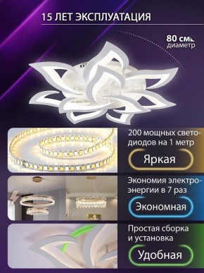Потолочная люстра Natali Kovaltseva OLIMP LED SMART 84005 в Верхней Пышме - verhnyaya-pyshma.ok-mebel.com | фото 5