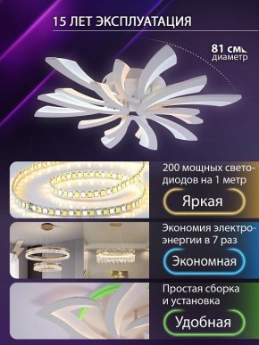 Потолочная люстра Natali Kovaltseva VIO LED LAMPS 81454 в Верхней Пышме - verhnyaya-pyshma.ok-mebel.com | фото 5