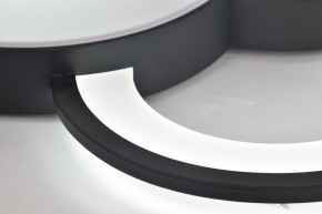 Потолочная люстра Rivoli Aliona Б0066452 в Верхней Пышме - verhnyaya-pyshma.ok-mebel.com | фото 12