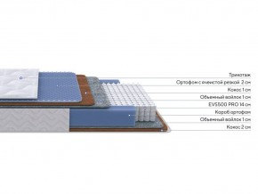 PROxSON Матрас Active Duo M/F (Ткань Трикотаж Эко) 160x190 в Верхней Пышме - verhnyaya-pyshma.ok-mebel.com | фото 2