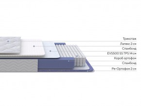 PROxSON Матрас Active Duo S/F (Ткань Трикотаж Эко) 160x195 в Верхней Пышме - verhnyaya-pyshma.ok-mebel.com | фото