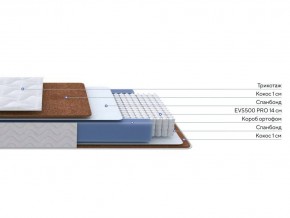PROxSON Матрас Active F Roll (Ткань Трикотаж Эко) 120x195 в Верхней Пышме - verhnyaya-pyshma.ok-mebel.com | фото 2