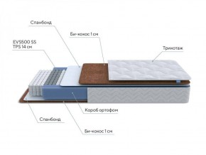 PROxSON Матрас Active F Roll (Ткань Трикотаж Эко) 160x200 в Верхней Пышме - verhnyaya-pyshma.ok-mebel.com | фото 6