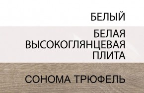 Шкаф 2D/TYP 20A, LINATE ,цвет белый/сонома трюфель в Верхней Пышме - verhnyaya-pyshma.ok-mebel.com | фото 4