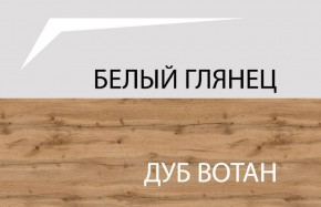 Шкаф 2DG с полками, TAURUS, цвет белый/дуб вотан в Верхней Пышме - verhnyaya-pyshma.ok-mebel.com | фото 4