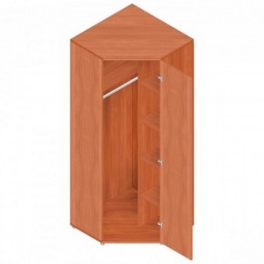 Шкаф для одежды "Референт" Р.Ш-10 в Верхней Пышме - verhnyaya-pyshma.ok-mebel.com | фото