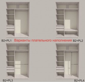 Шкаф-купе 1300 серии SILVER S3+S4+B2+PL4 (2 ящика+F обр.штанга) профиль «Серебро» в Верхней Пышме - verhnyaya-pyshma.ok-mebel.com | фото 6