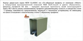 Шкаф-купе 1500 серии NEW CLASSIC K3+K3+B2+PL1 (2 ящика+1 штанга) профиль «Капучино» в Верхней Пышме - verhnyaya-pyshma.ok-mebel.com | фото 5