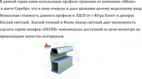 Шкаф-купе 1500 серии SILVER S1+S1+B2+PL2 (2 ящика+1 штанга+1 полка) профиль «Серебро» в Верхней Пышме - verhnyaya-pyshma.ok-mebel.com | фото 4