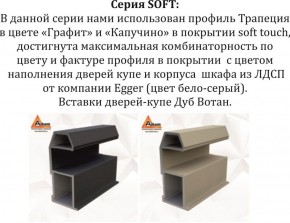 Шкаф-купе 2100 серии SOFT D5+D5+D5+B22+PL4 (по 2 ящика лев/прав+2штанги) профиль «Графит» в Верхней Пышме - verhnyaya-pyshma.ok-mebel.com | фото 11